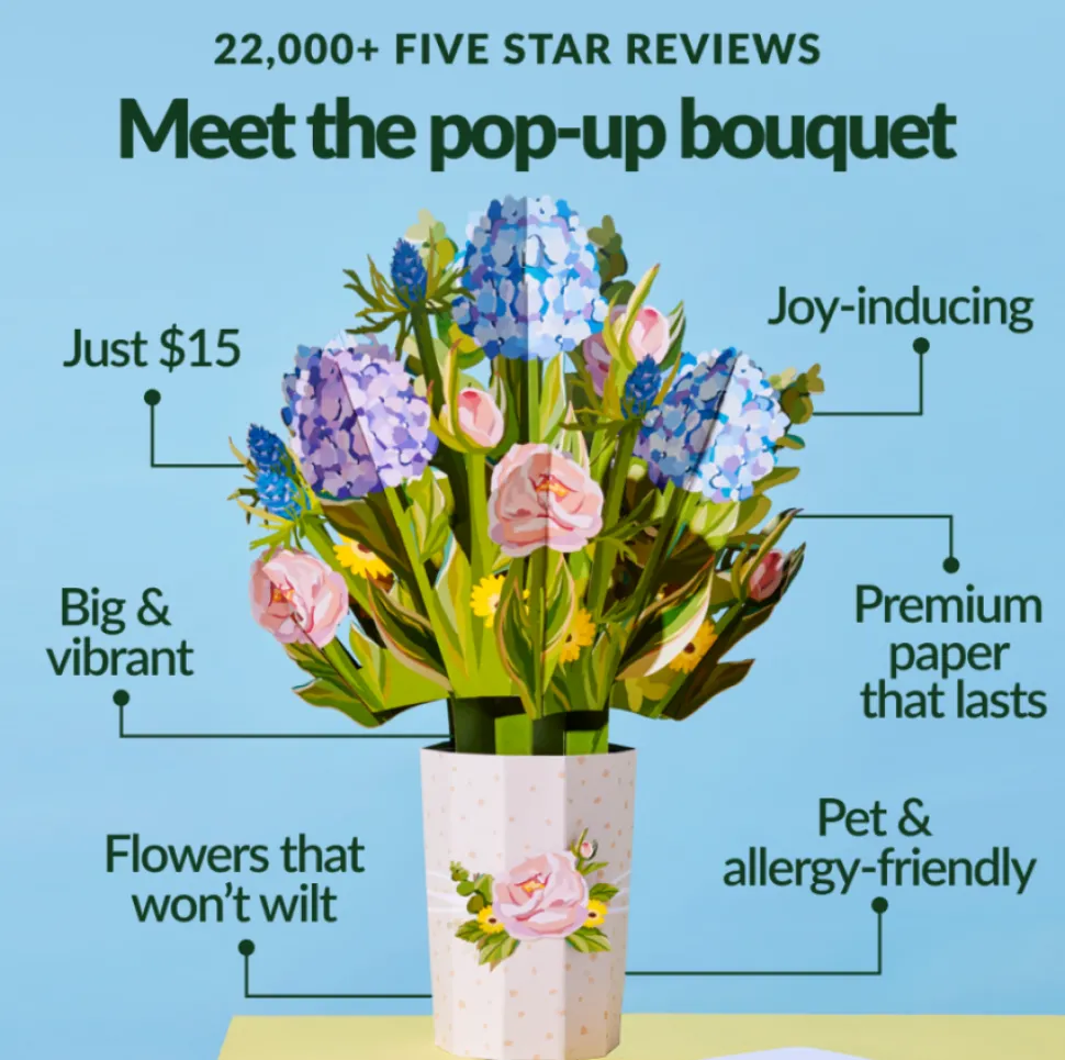 Lovepop Pop-Up Bouquets|Decor|Purr-fect Cat Bouquet