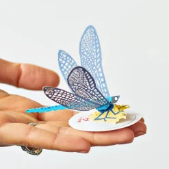 Kids Lovepop Pop-Up Stickers|Kids|Stickerpop™: Dragonfly (5-Pack)