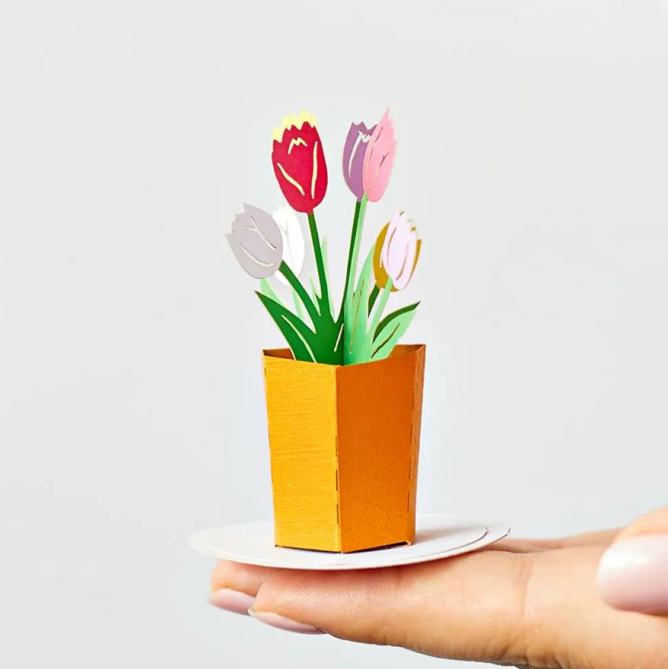 Lovepop Pop-Up Stickers|Stickerpop™: Garden Favorites (Assorted 5-Pack)