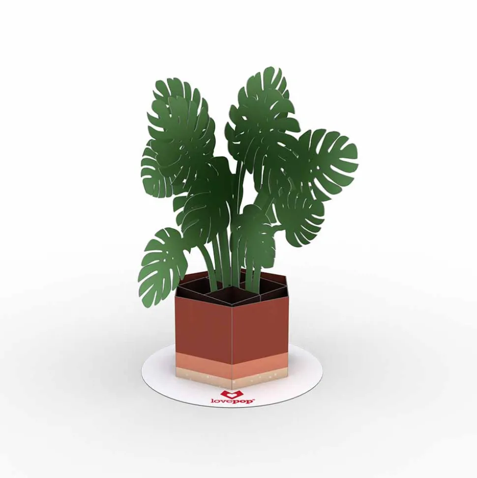 Kids Lovepop Pop-Up Stickers|Kids|Stickerpop™: Monstera (1-Pack)