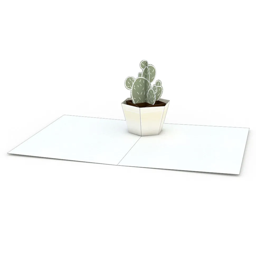 Lovepop Notecards|Just Because|Succulent Notecards (Assorted 4-Pack)