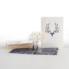 Lovepop Value Packs|Surreal Deer 12-Pack