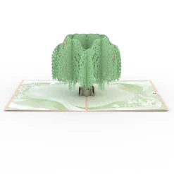 Lovepop Pop-Up Bouquets|Card & Gift Bundles|Sympathy Tree and Tulips Bundle