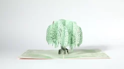 Lovepop Sympathy|Sympathy Tree Pop-Up Card