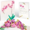 Lovepop Birthday|Mom|Watercolor Orchid Birthday Pop-Up Card and Sentiment Set for Mother