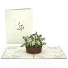 Lovepop Greeting Cards|Get Well|White Flower Basket Pop-Up Card
