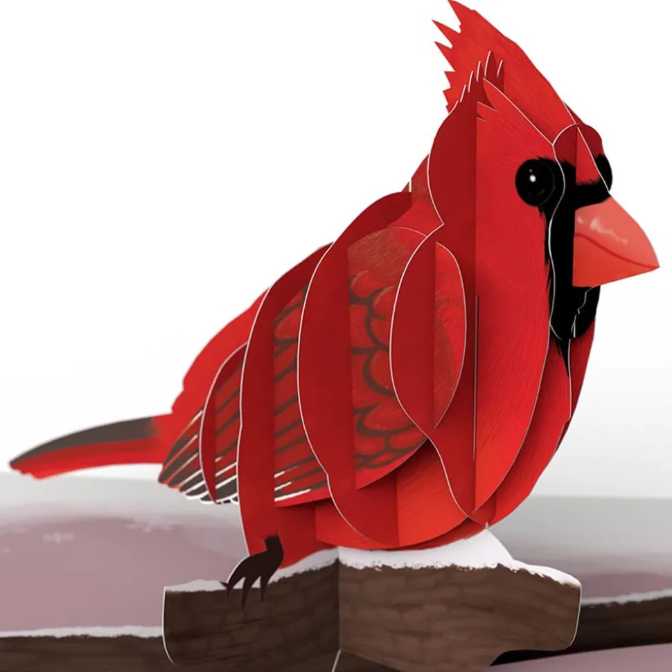 Lovepop Value Packs|Winter Bird Box Set (Assorted 12-Pack): Paperpop® Card