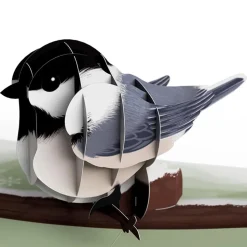 Lovepop Value Packs|Winter Bird Box Set (Assorted 12-Pack): Paperpop® Card