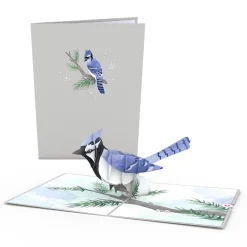Lovepop Pop-Up Bouquets|Card & Gift Bundles|Winter Wishes Blue Jay Bundle