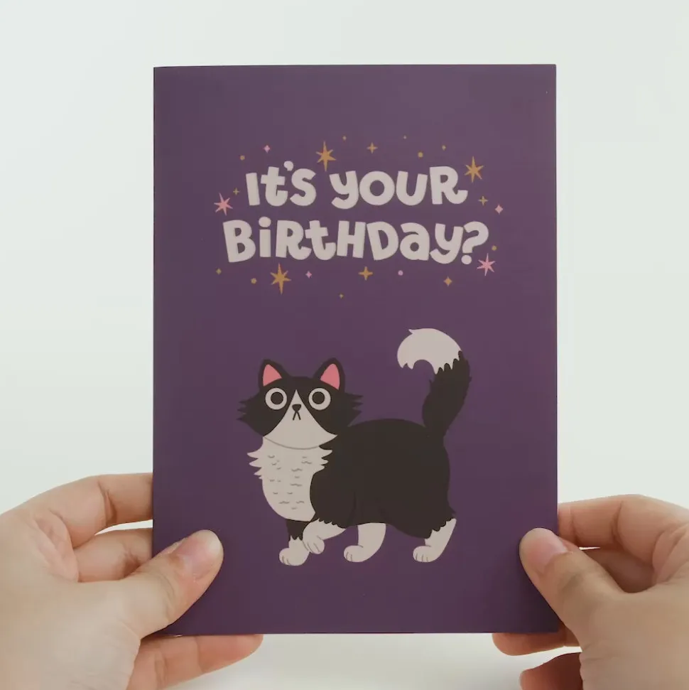 Lovepop Greeting Cards|Birthday|Your Gift Is in the Litterbox Birthday Cat Pop-Up Card