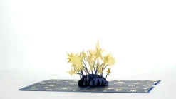 Kids Lovepop Greeting Cards|Congratulations|You're a Star Pop-Up Card