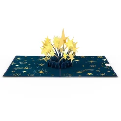 Kids Lovepop Greeting Cards|Congratulations|You're a Star Pop-Up Card
