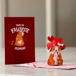 Kids Lovepop Greeting Cards|Anniversary|You’re My Favorite Human Pop-Up Card